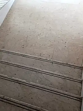 beerant online show from October 2025 12:04:02 PM