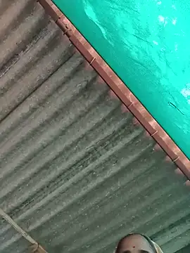 Hot-honi online show from November 2025 05:52:01 AM