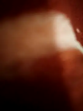 sexy  girls98 online show from November 2025 11:47:01 PM