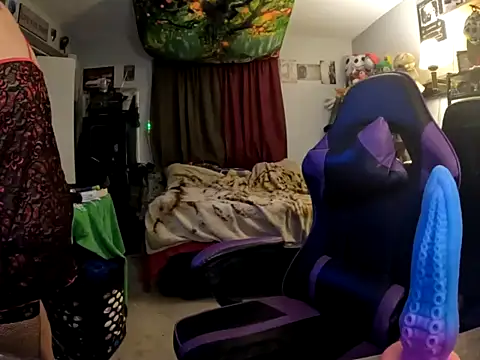 R4inbowK1tty online show from February 2026 05:12:02 AM