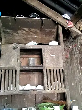 omiu-baby online show from April 2026 02:11:02 AM