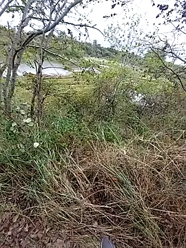 slaveman4you online show from September 2025 12:40:02 PM