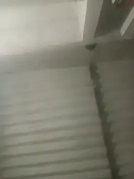 Payal950 online show from October 2025 03:13:01 PM