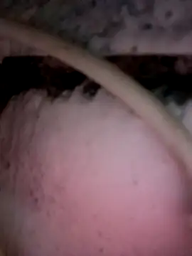 Payal950 online show from December 2025 11:56:02 PM