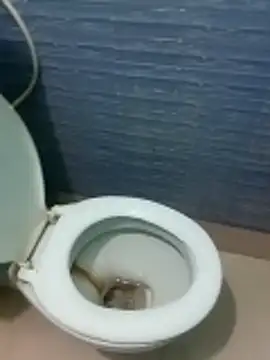 monmohua online show from November 2025 08:49:01 PM