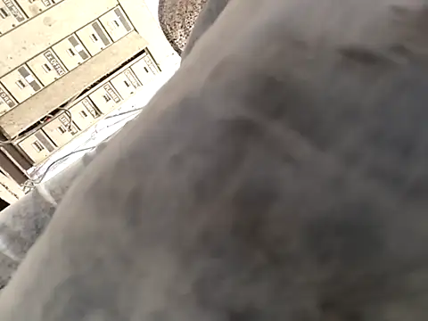 xyz-indian online show from October 2025 10:43:02 AM