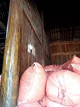 Snapshot of hera-00 chatting on September 2025 03:40:01 AM hera-00 online show from September 2025 03:40:01 AM