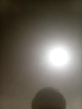 Bebicho14 online show from February 2026 04:22:02 PM