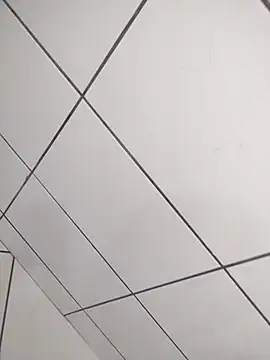 Novin23cms online show from December 2025 04:03:01 PM