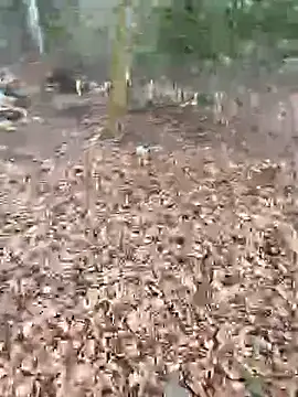 andymatthisbwc online show from February 2026 02:59:02 PM