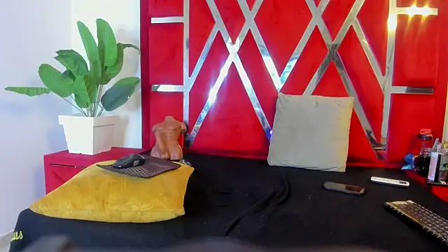 vennusasm1 online show from November 2025 08:30:01 PM