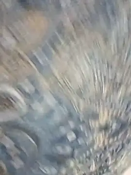 HAANNIAA online show from December 2025 11:04:01 AM