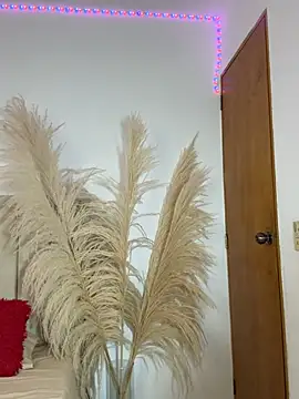 liaarous  online show from March 2026 02:27:02 AM