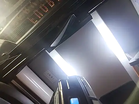 Necroforo online show from March 2026 09:08:01 PM