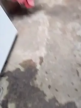 sertaonegro online show from March 2026 12:55:01 PM