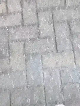 boxerundsocken91 online show from March 2026 05:17:02 PM