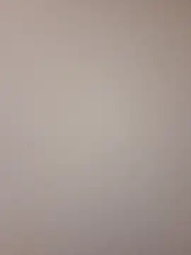 Mr nightfall online show from November 2025 02:32:01 AM