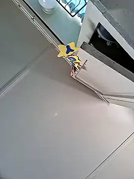 Pedro98801 online show from March 2026 06:01:02 PM