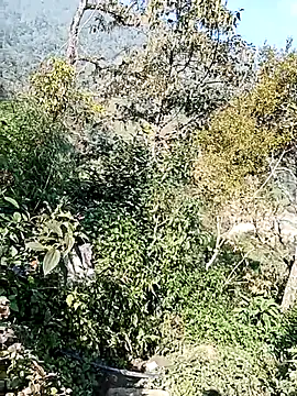 xinhxinhcute online show from December 2025 03:00:02 AM