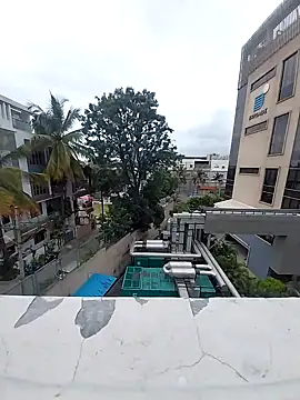 Snapshot of bisexdon chatting on September 2025 08:38:01 AM bisexdon online show from September 2025 08:38:01 AM