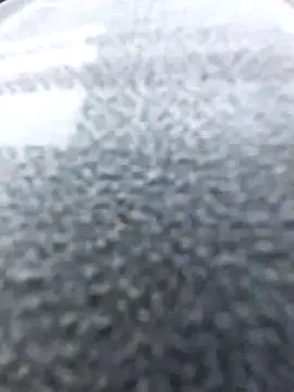 Snapshot of bisexdon chatting on October 2025 10:16:02 AM bisexdon online show from October 2025 10:16:02 AM