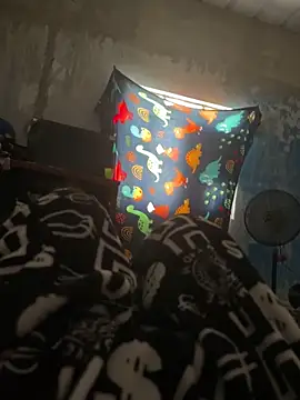 FromVnz online show from November 2025 12:45:02 PM