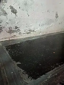 chubby babitha-telugu online show from September 2025 03:19:01 AM