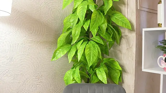 MarlinVarian online show from September 2025 06:13:02 AM