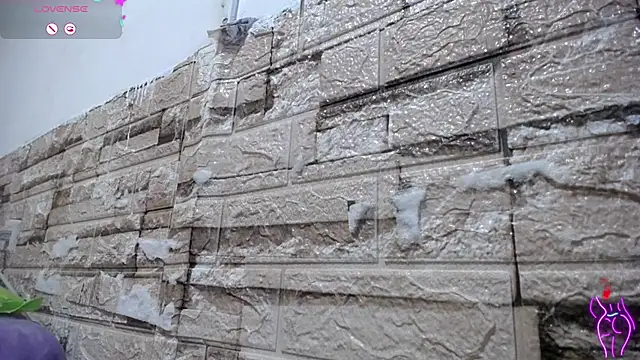 Bicky 24 online show from March 2026 07:46:02 AM