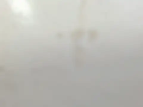 Snapshot of Penelopee_Rouse chatting on October 2025 07:25:02 PM Penelopee Rouse online show from October 2025 07:25:02 PM