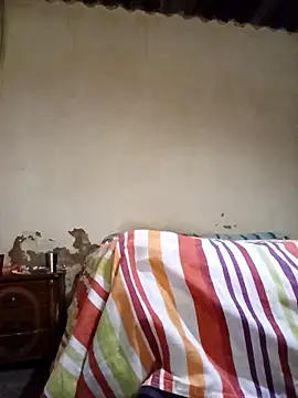 average price online show from November 2025 04:13:01 AM