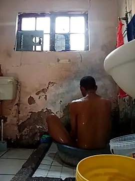 average price online show from November 2025 04:37:01 AM