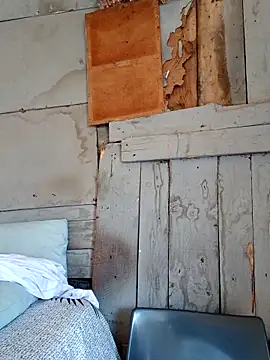 SeductiveDick1997 online show from March 2026 08:18:01 AM