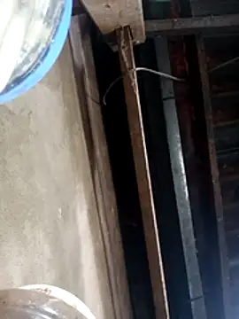 siki-00 online show from October 2025 03:40:01 AM