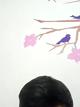 DavidVergagigante420 online show from February 2026 04:05:02 AM