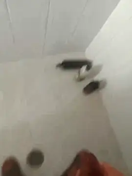 pitoduroparati online show from February 2026 11:52:02 PM