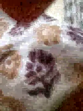 Snapshot of roshankakol chatting on November 2025 05:33:01 PM roshankakol online show from November 2025 05:33:01 PM