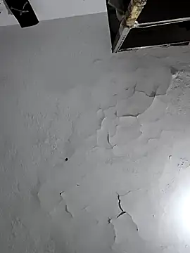 Snapshot of Ferxxxo1503 chatting on February 2026 05:45:01 AM Ferxxxo1503 online show from February 2026 05:45:01 AM