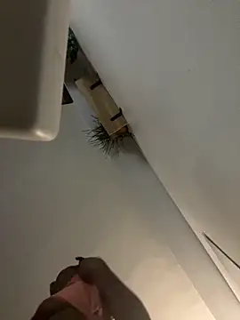 littyleesh1 online show from April 2026 04:29:01 AM