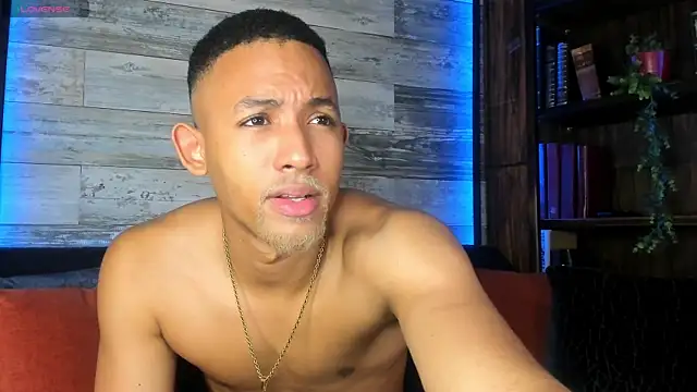 B Wild online show from March 2026 04:07:02 AM