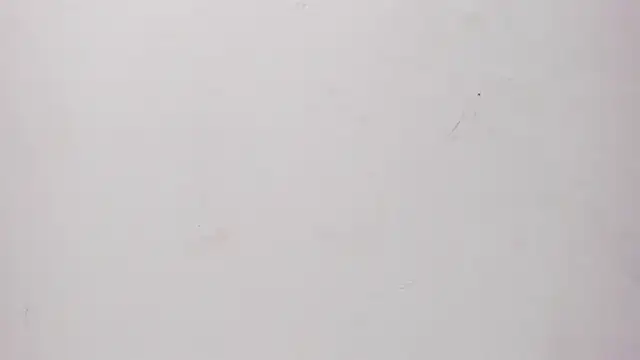 Sofia summers online show from November 2025 03:39:02 AM