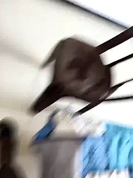 Snapshot of Chanderi19 chatting on September 2025 09:25:02 AM Chanderi19 online show from September 2025 09:25:02 AM