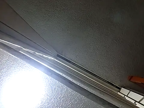 Aliciabloom online show from November 2025 01:01:02 PM