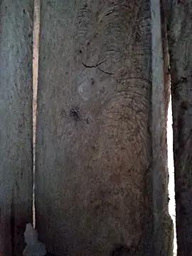 bonnie-00 online show from October 2025 11:28:02 PM