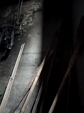 Dung x online show from March 2026 12:31:02 PM