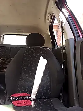 IssuedEcho online show from February 2026 11:44:01 AM