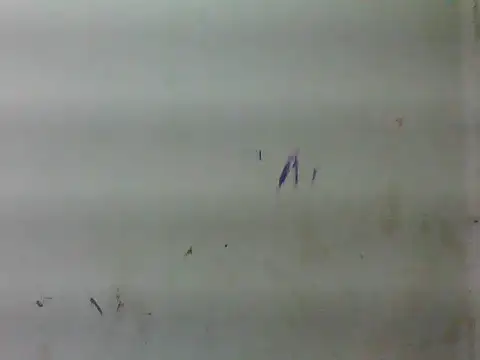 sweet bella16 online show from January 2026 05:33:01 AM