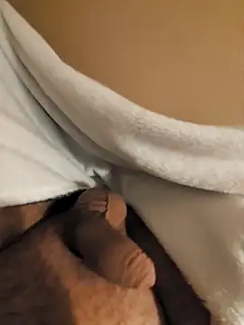 verjaya online show from November 2025 10:26:02 PM