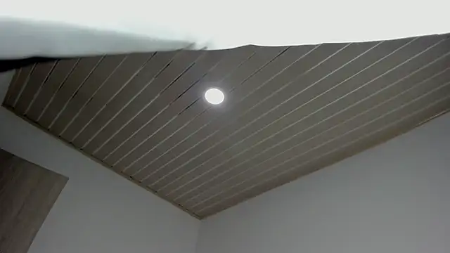 evelynrojas online show from September 2025 08:00:02 PM