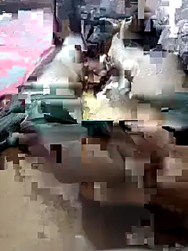 UnbowedAgronomy online show from February 2026 10:50:01 PM